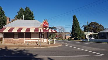 Sutton Forest Country Store 2023.jpg