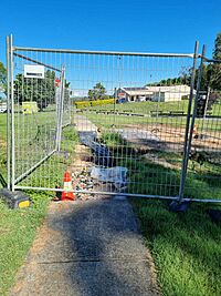 Tansey Park destroyed footpath