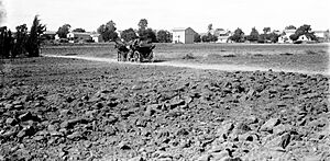 The Sarona Templer Settlement taken between 1898 and 1946