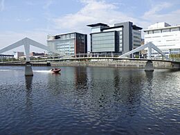 The Squiggly Bridge (geograph 5061153).jpg
