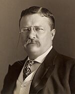 Theodore Roosevelt by the Pach Bros (4x5 cropped).jpg