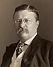 Theodore Roosevelt by the Pach Bros (4x5 cropped).jpg