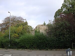ThetfordNunnery