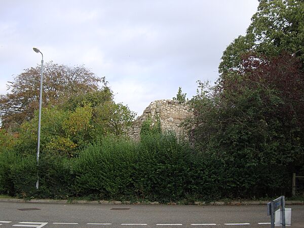 ThetfordNunnery