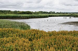 Titchfield Haven - geograph.org.uk - 1418094