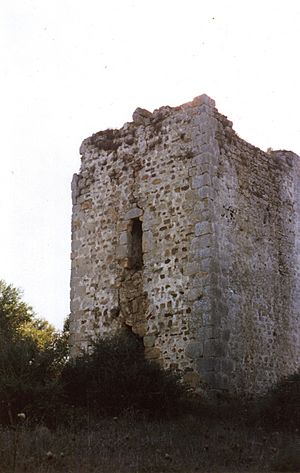 Torre botafuegos.jpg