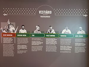 Treinadores do Fluminense