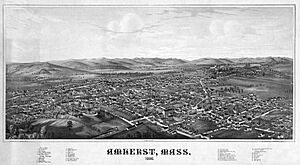 View of Amherst MA in 1886 - LOC 00406u