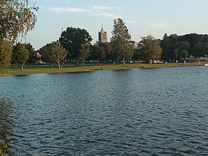 Wakefield common 2011