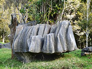 Weathered limestone (20125209969)