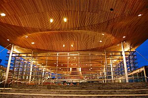 Welsh National Assembly Senedd