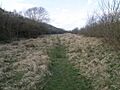 Wood Walton Marsh - geograph.org.uk - 1243441