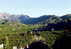 001 Vall La Murta