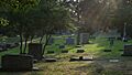 2008-07-21 Old Chapel Hill Cemetery 2
