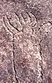 Aboriginal rock carvings, Terrey Hills, New South Wales, Sydney - Wiki0159