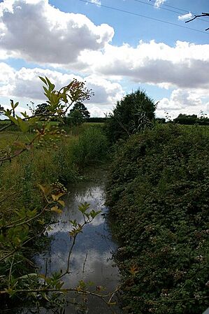 Asheldham Brook - geograph.org.uk - 502051