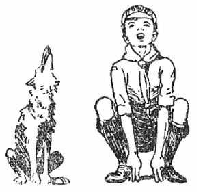Baden-Powell's grand howl illustration in The Wolf Cub's Handbook 1916