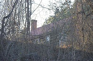 Beales House through the trees