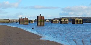 Bollards on the River Clyde (geograph 5682584)