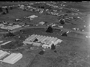 Booth Macdonald & Company Ltd at Penrose, Auckland (cropped)