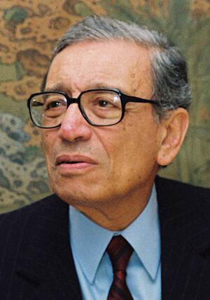 Boutros Boutros Ghali (1993)