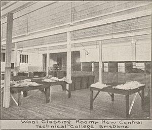 Brisbane Central Technical College - Wool Classing