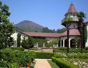Chateau St. Jean Building - Stierch