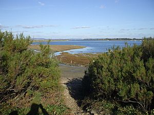 Chichester Harbour from West Wittering beach - geograph.org.uk - 1379749.jpg