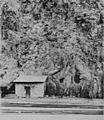 Clifton Cliff Jail Clifton Arizona Circa 1900