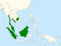 Cymbirhynchus macrorhynchos map