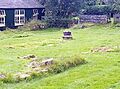 Dale Abbey 2019 ruins south transept 01