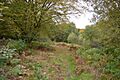 Danemead 5
