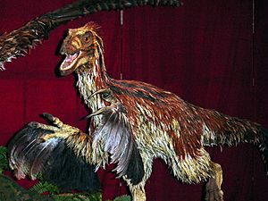 Deinonychus feathered