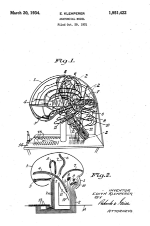 Dr. Edith Klemperer Patent for Luminous Brain Model, 1934