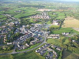 Dromore - geograph.org.uk - 304310.jpg