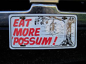 Eat more possum Millington TN 2013-10-20 002