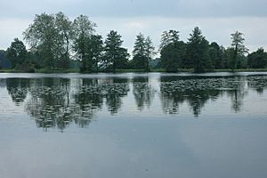 Eleven Acre Lake, Stowe - geograph.org.uk - 837805