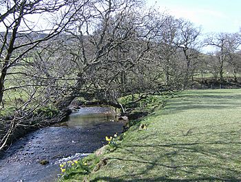 A river with trees on one bank, and grass on the other