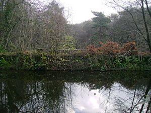 Forth and Clyde canal passing over Red Burn - geograph.org.uk - 1579114