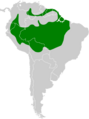 Gymnoderus foetidus map
