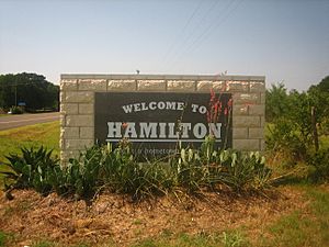 Hamilton, Texas, welcoming sign IMG 0772