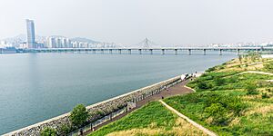 Han River and Han River Park from Jamsil Bridge (14219133434)