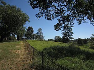 Horse paddock (right) and school grounds (left), from NE (2015)