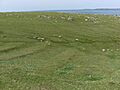 Inishglora lazybeds