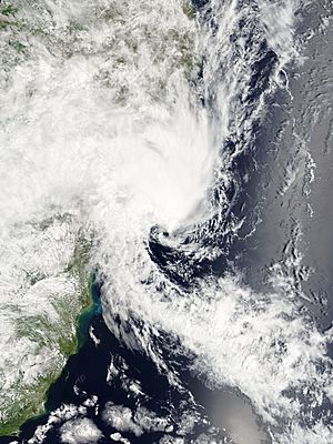 January 2004 S. Atln Tropical cyclone