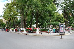 JardinLaFloresta