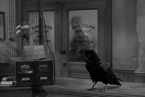 Jimmy the raven in It's a Wonderful Life.png