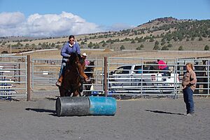 Kiger wild horse auction, Hines, Oregon