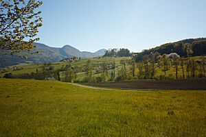 Laupersdorf Blick ins Thal