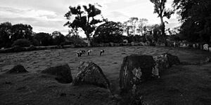 Lough Gur Stone Circle Grange
